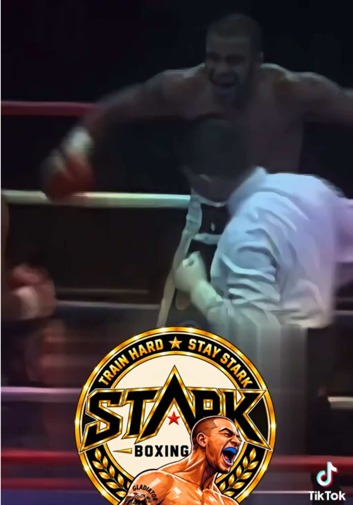 @Kidstarkjr