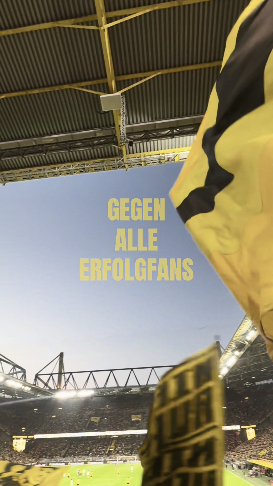 @𝐍𝐨𝐞〽️𝐢