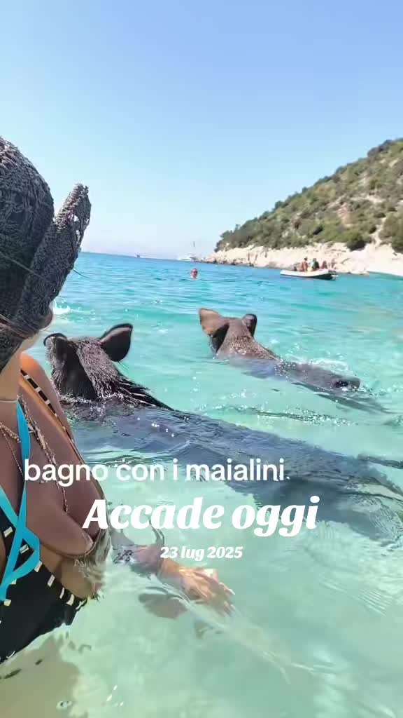 @Mena Sorrentino
