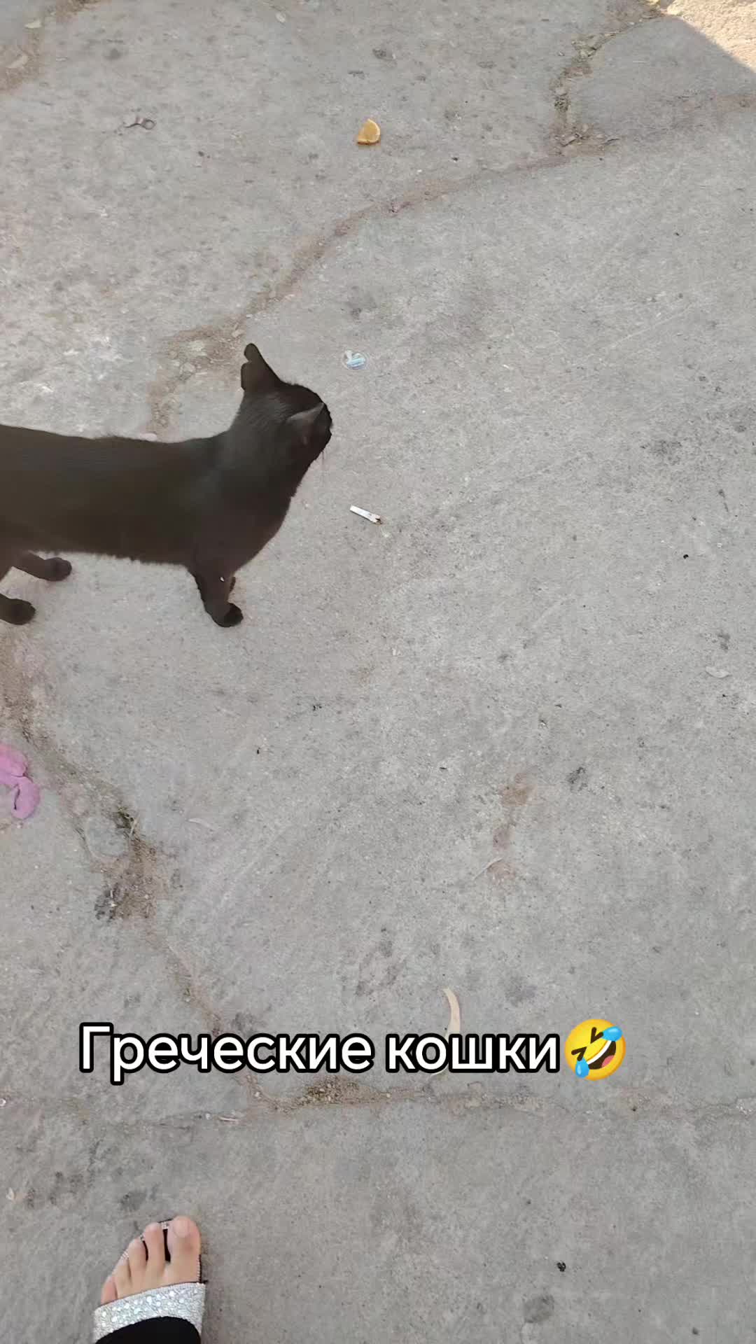 @Афимия Адамиди