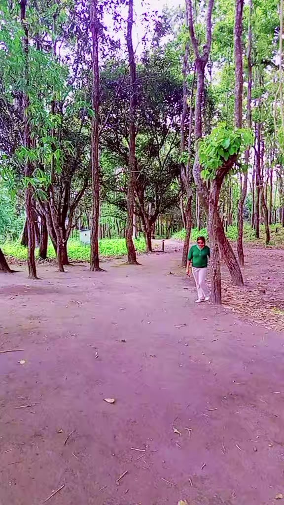 @Pabitra Poudel