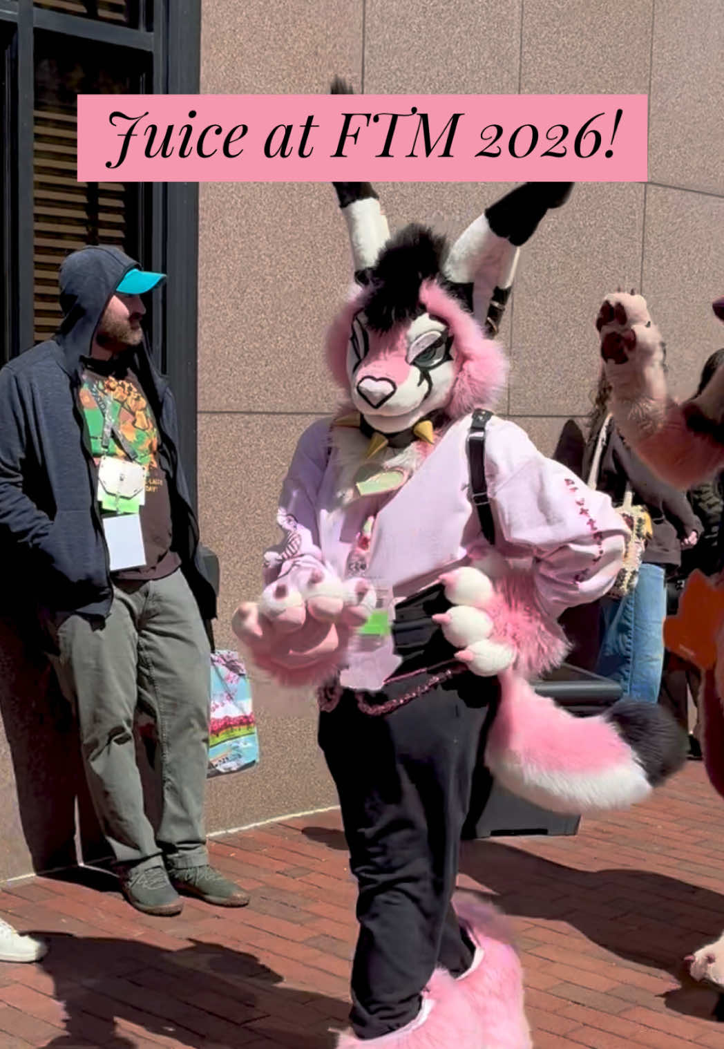 @Juice the Caracal