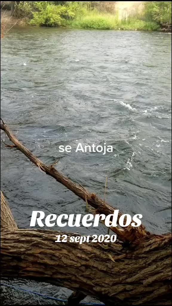 @ANTONIA C🔱