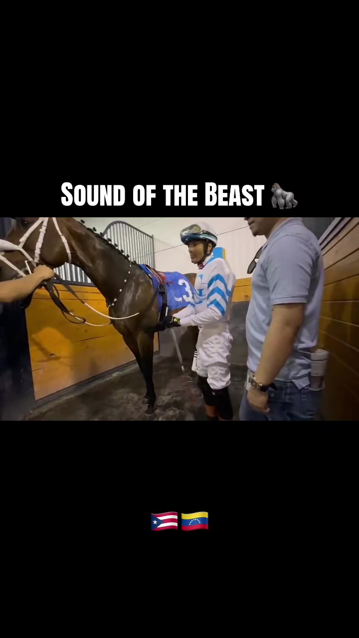 @gonzalezracingstables