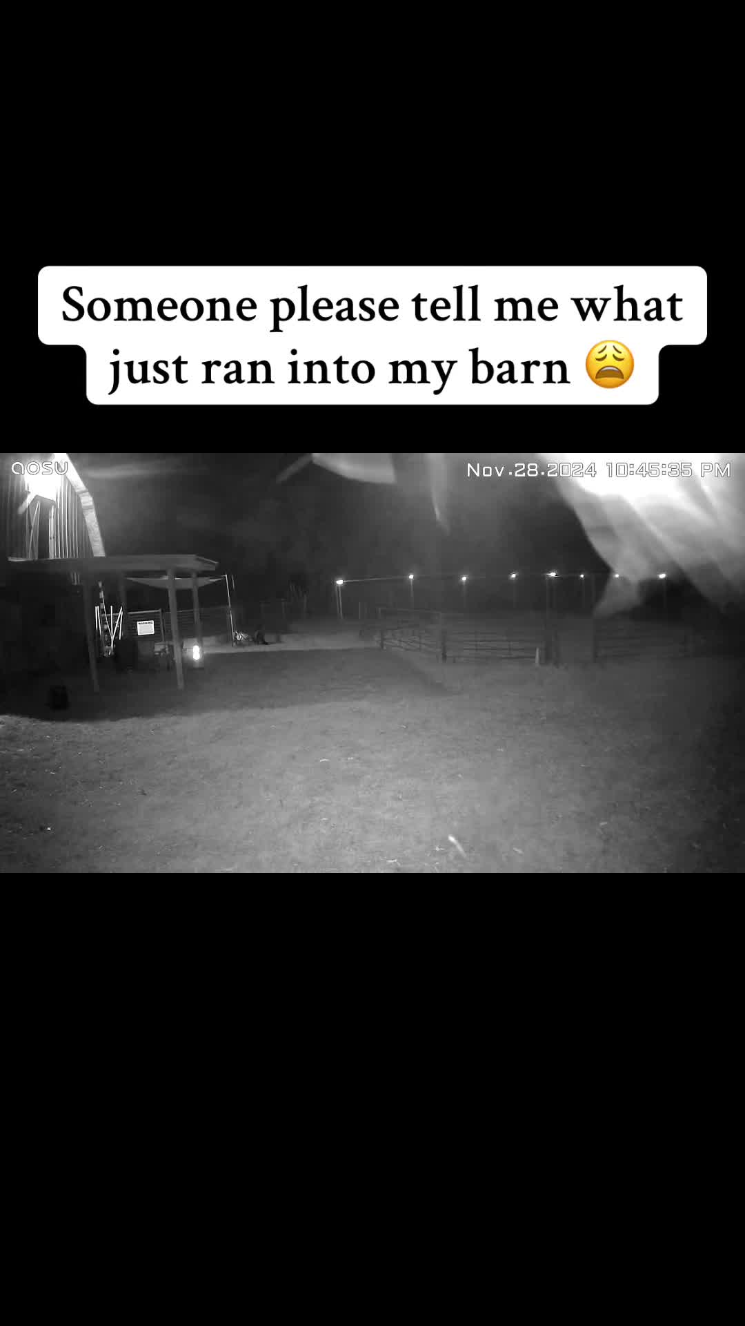 @Kjackson 🐴❤️