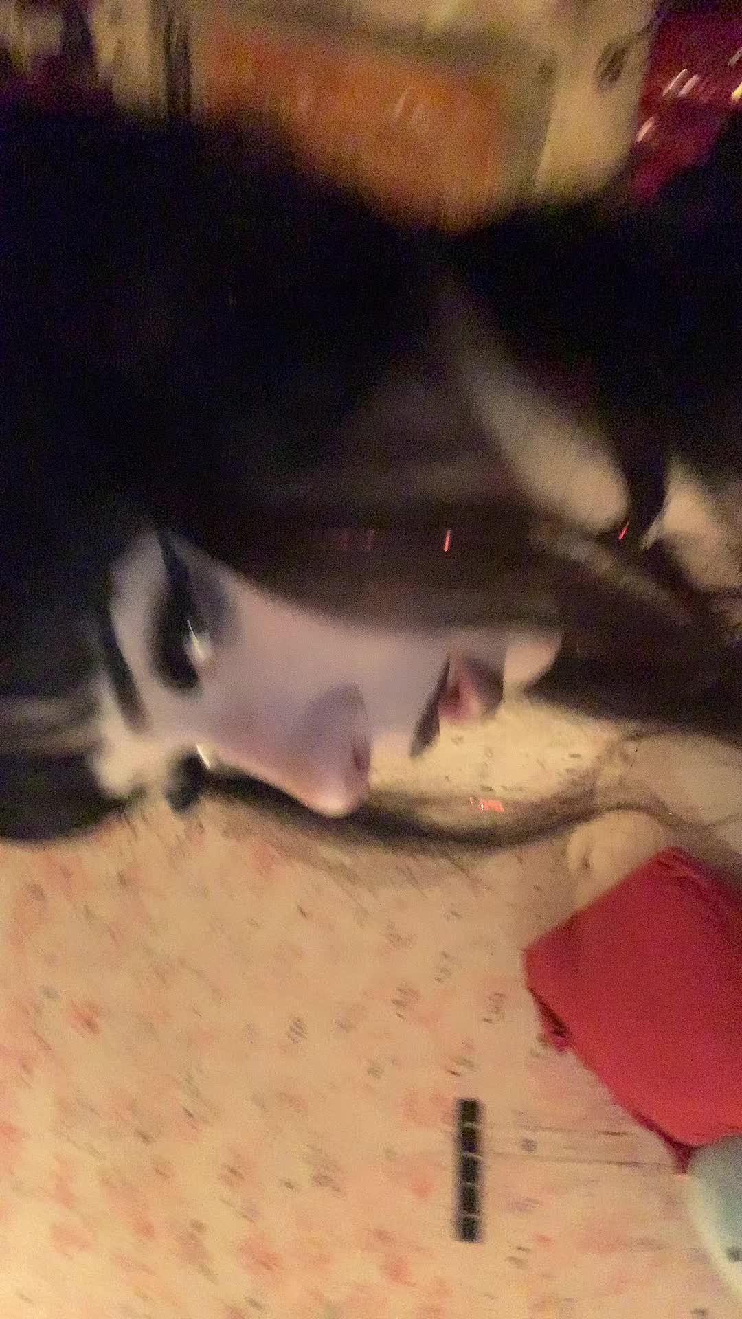 @Lexapro 😆