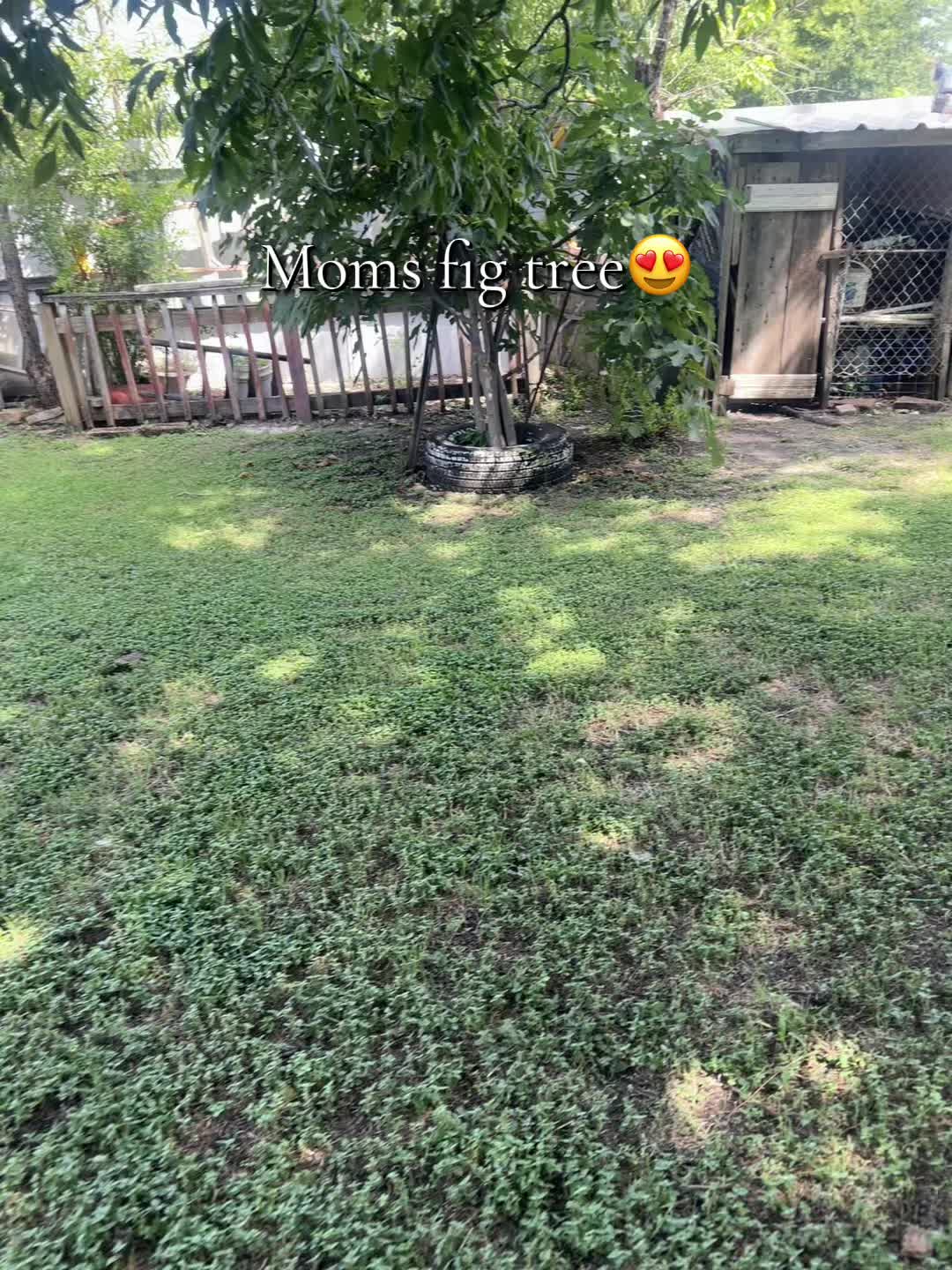 @Maria Gonzalez