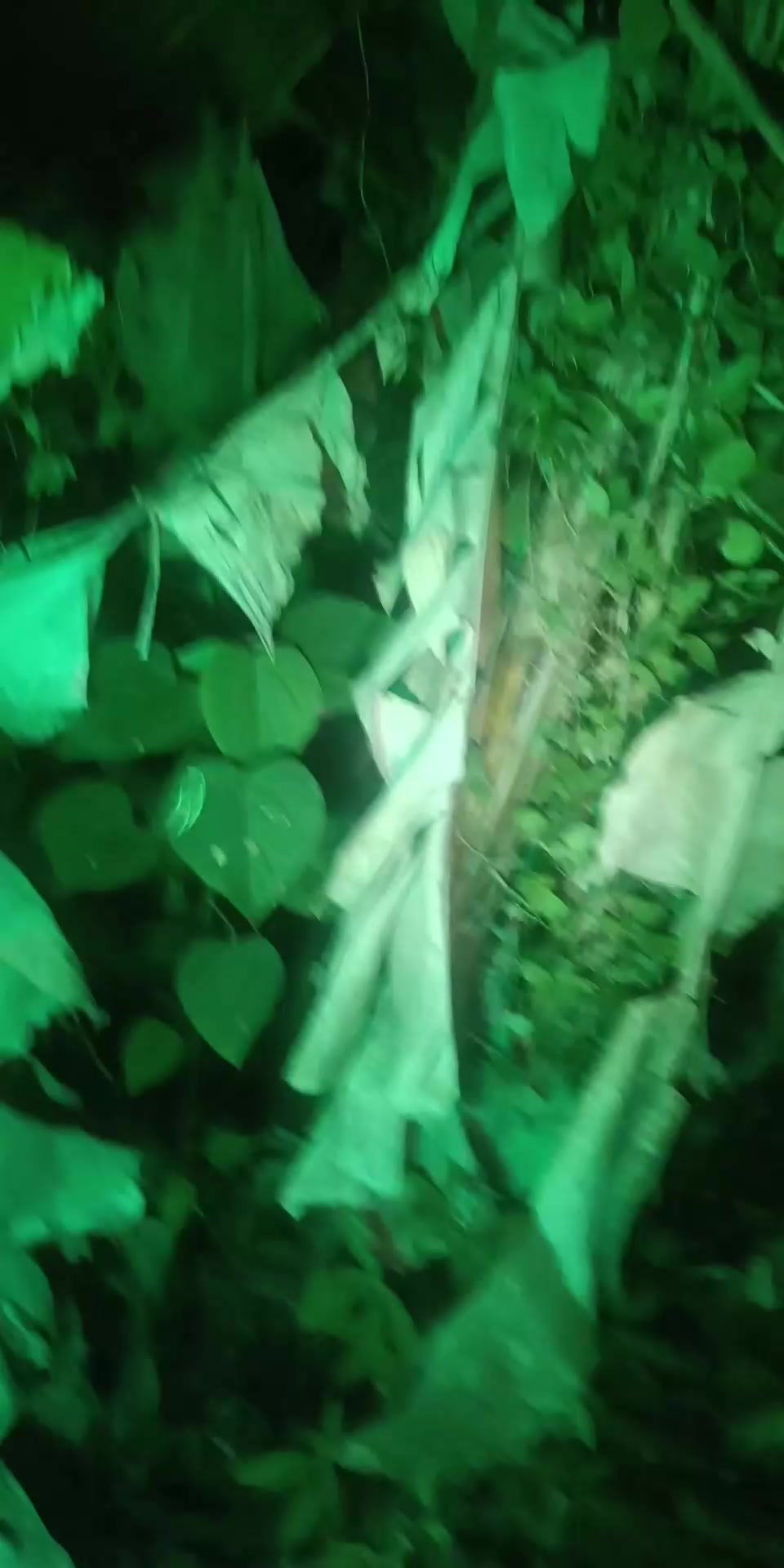@๐๐๐ง๐๐ซ๐ ๐๐ข๐ฃ๐๐ฒ๐