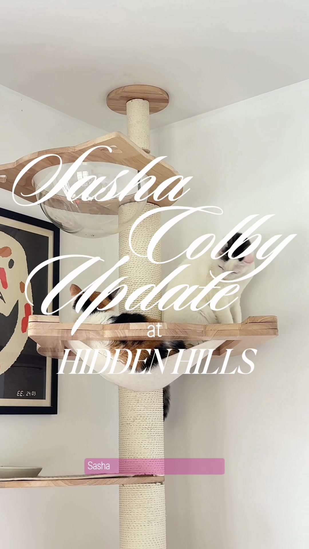 @hiddenhillsequestrian