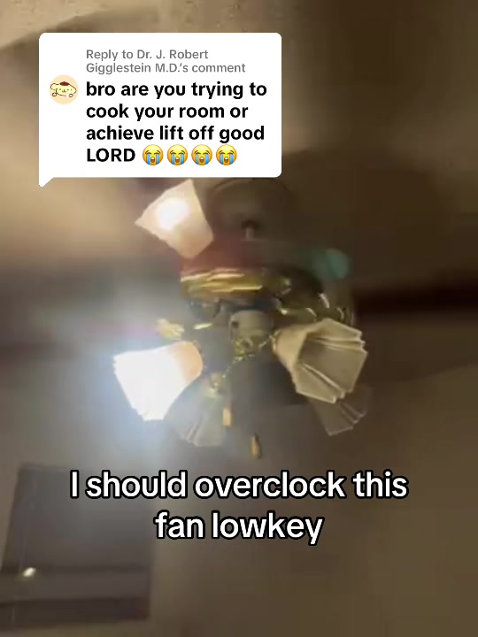 @Goobie Snoobie