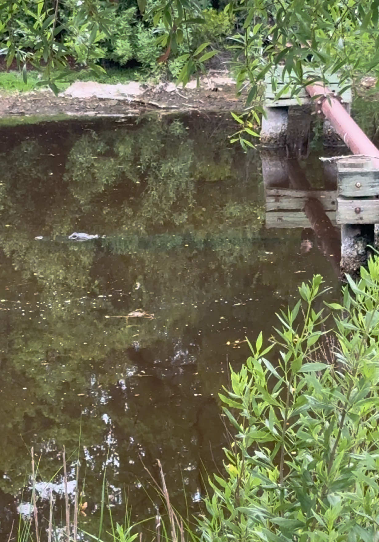 @Natalia Maldonado