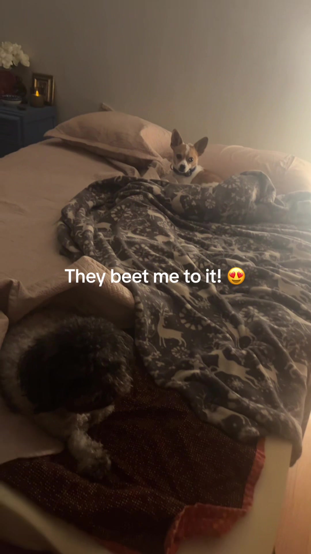 @Cheskie24