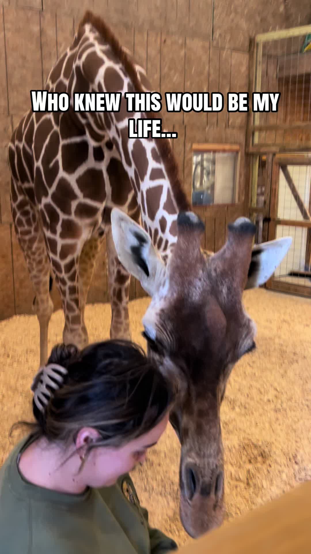 @Kamygrant