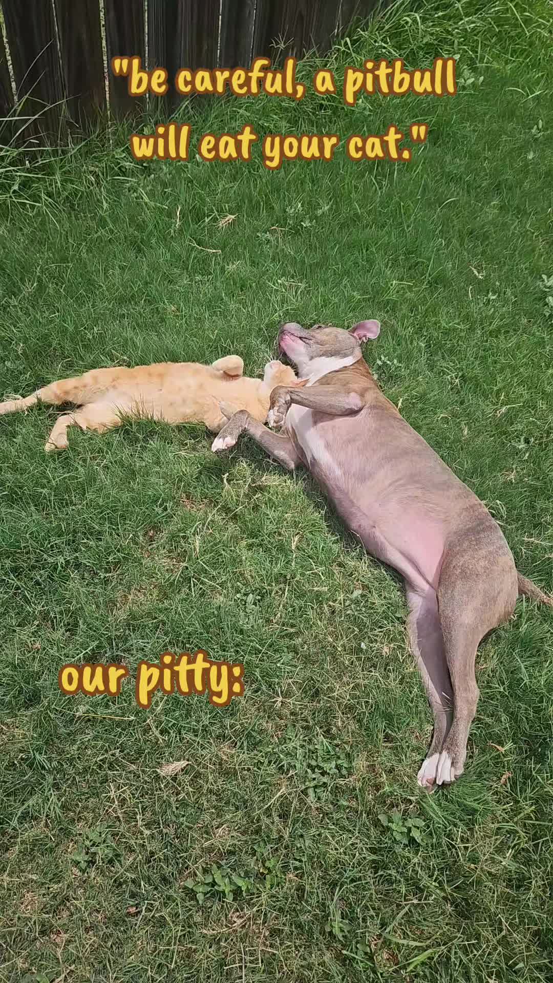 @RainbowTex420