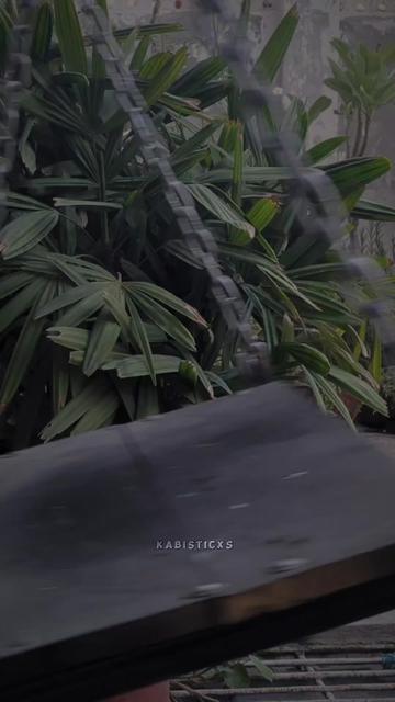 @BASHAOOR.