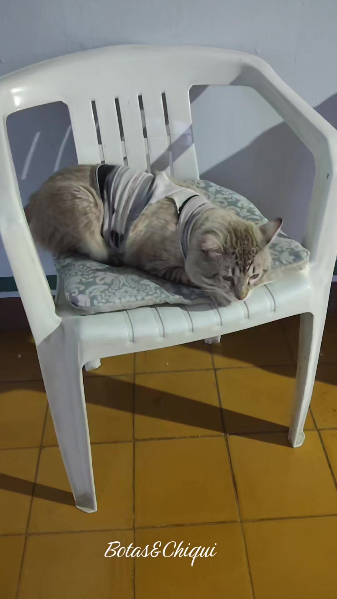 @Onda/Felina