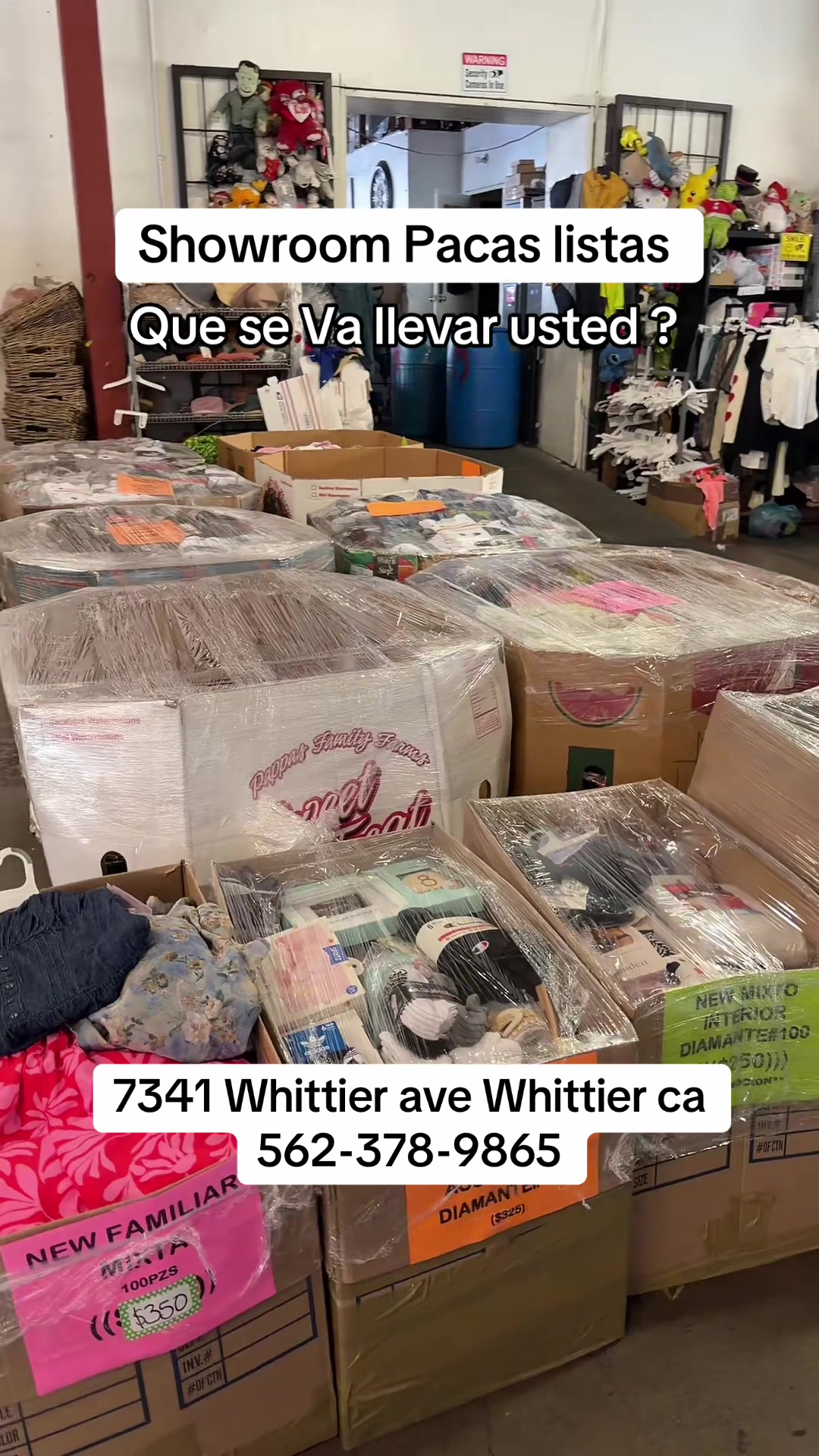 @LAPACA Diamante wholesale