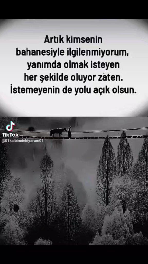 @Demet Tan KARABELA@