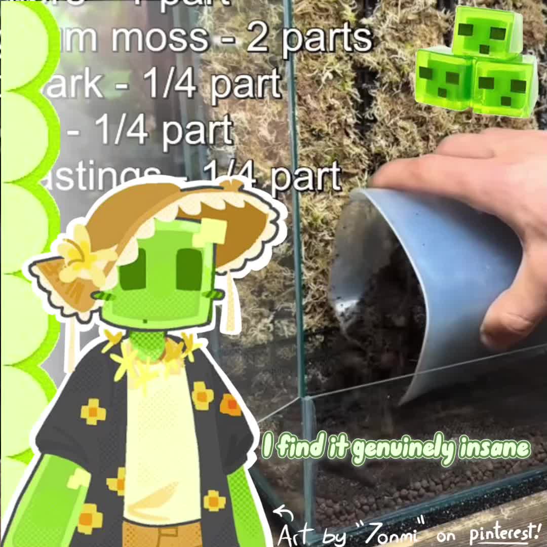 @donnie