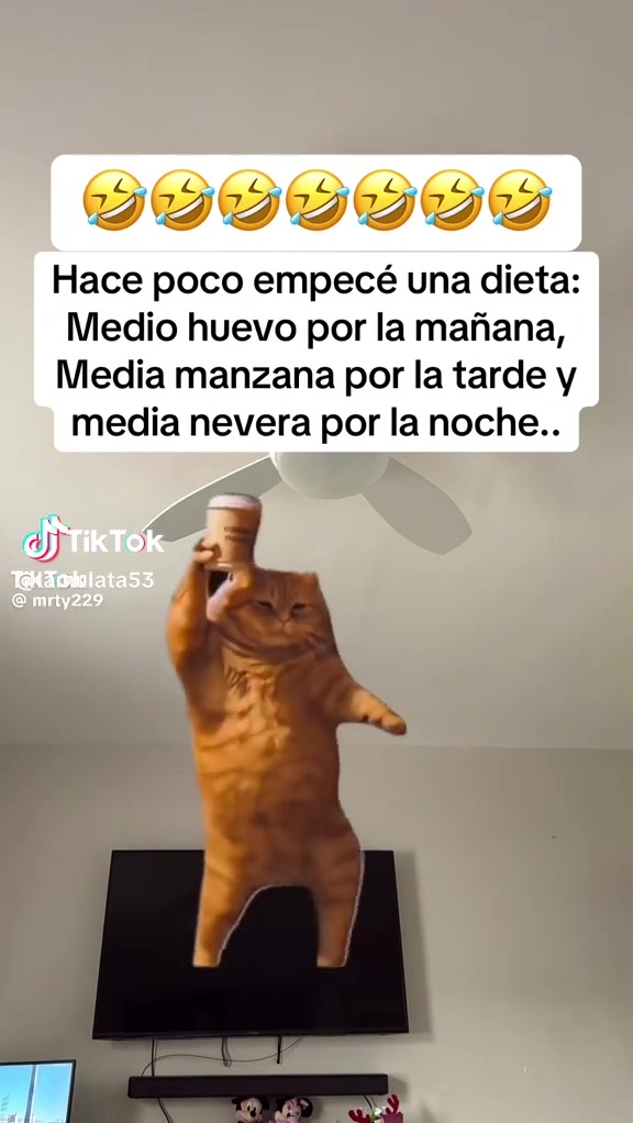 @Dorada