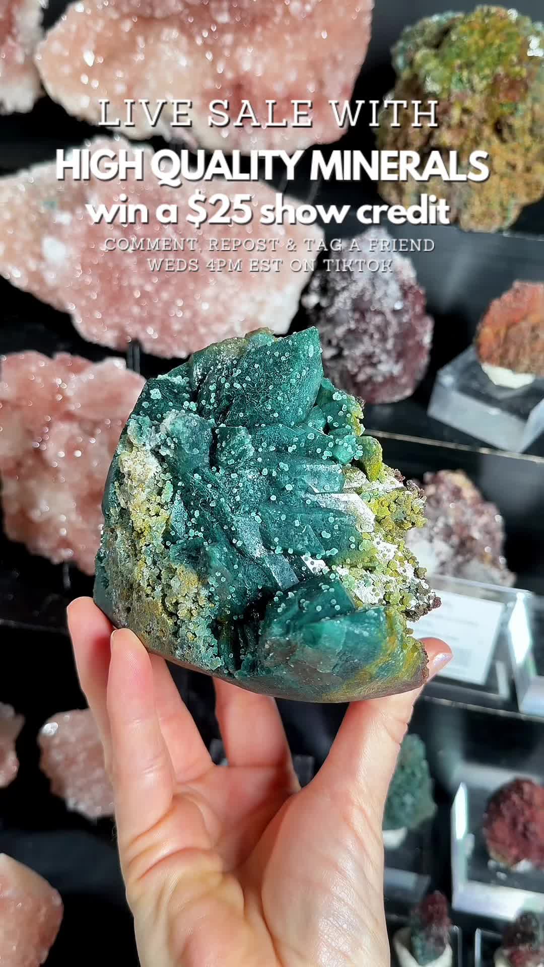 @Crystal Live Emporium✨Natalie