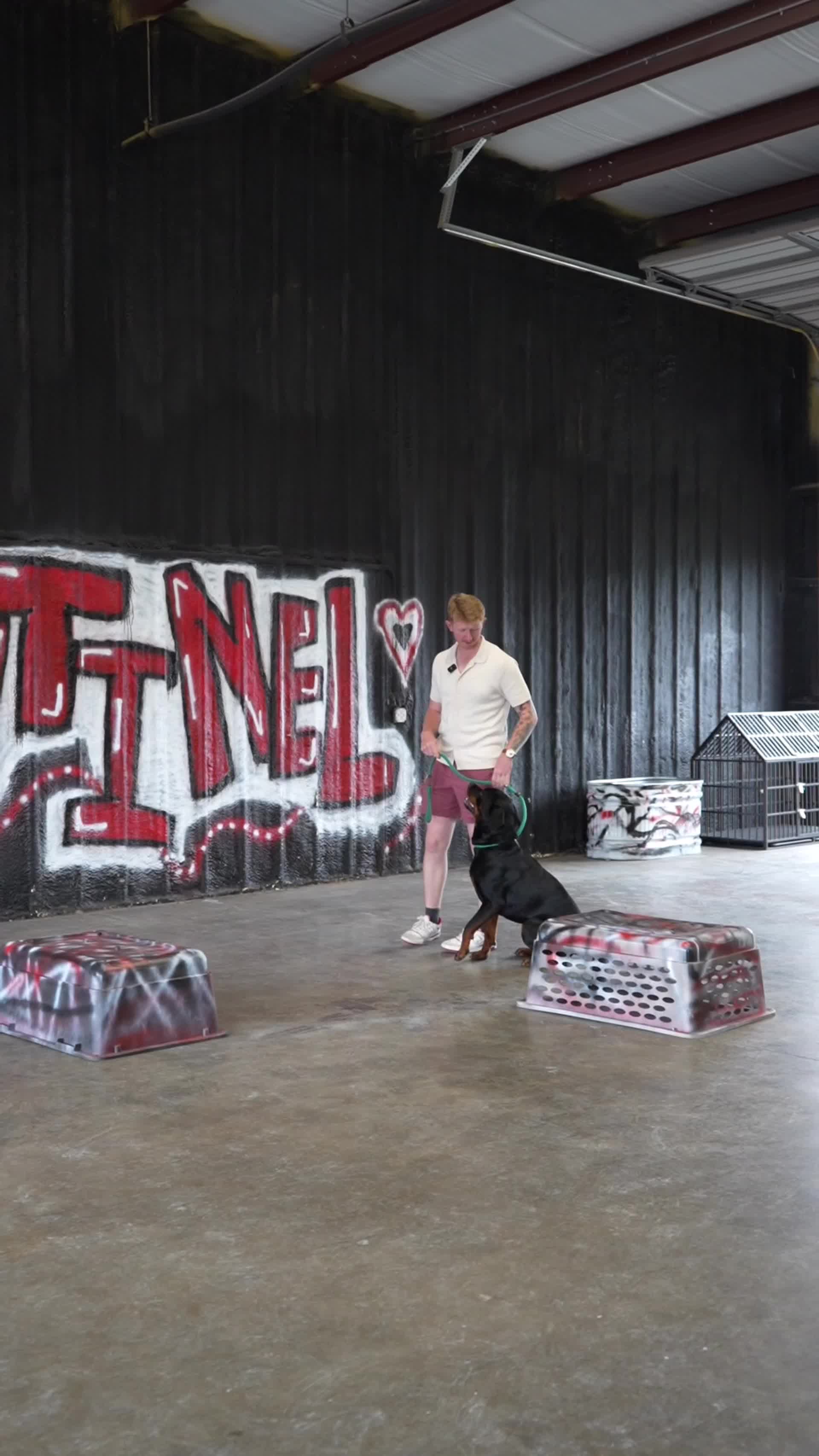 @Sentinel K9 | Dog Training