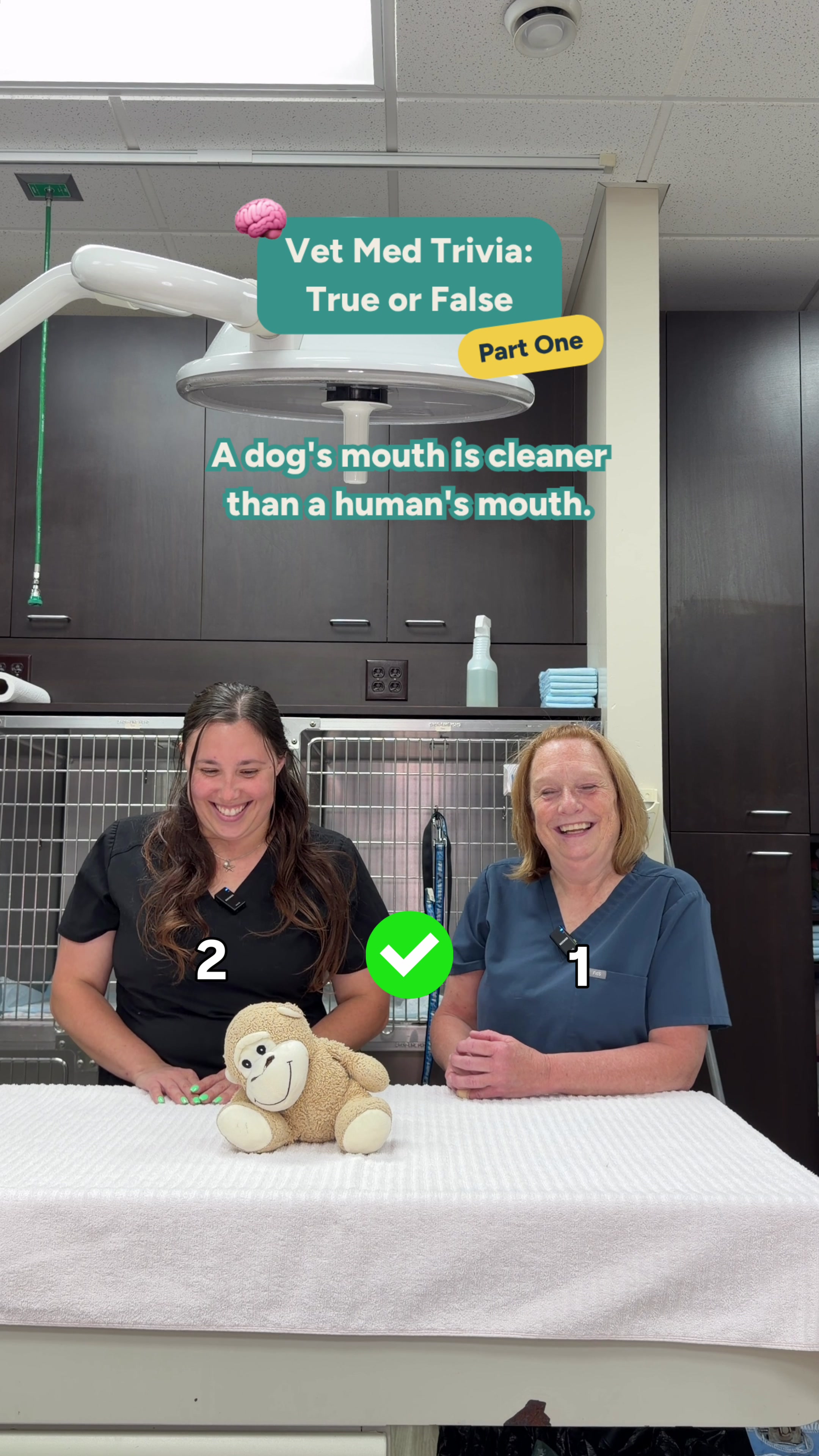 @Affiliated Vet