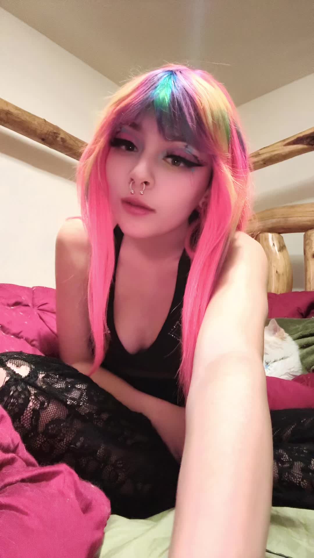 @Koi