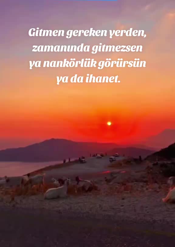 @Amo.GS💛❤