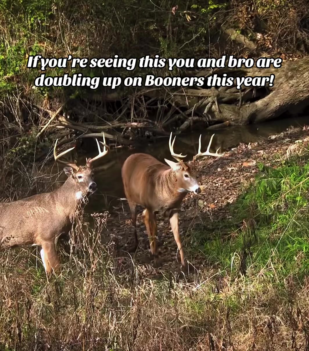 @🦌 Megabucks Outdoors 🦌