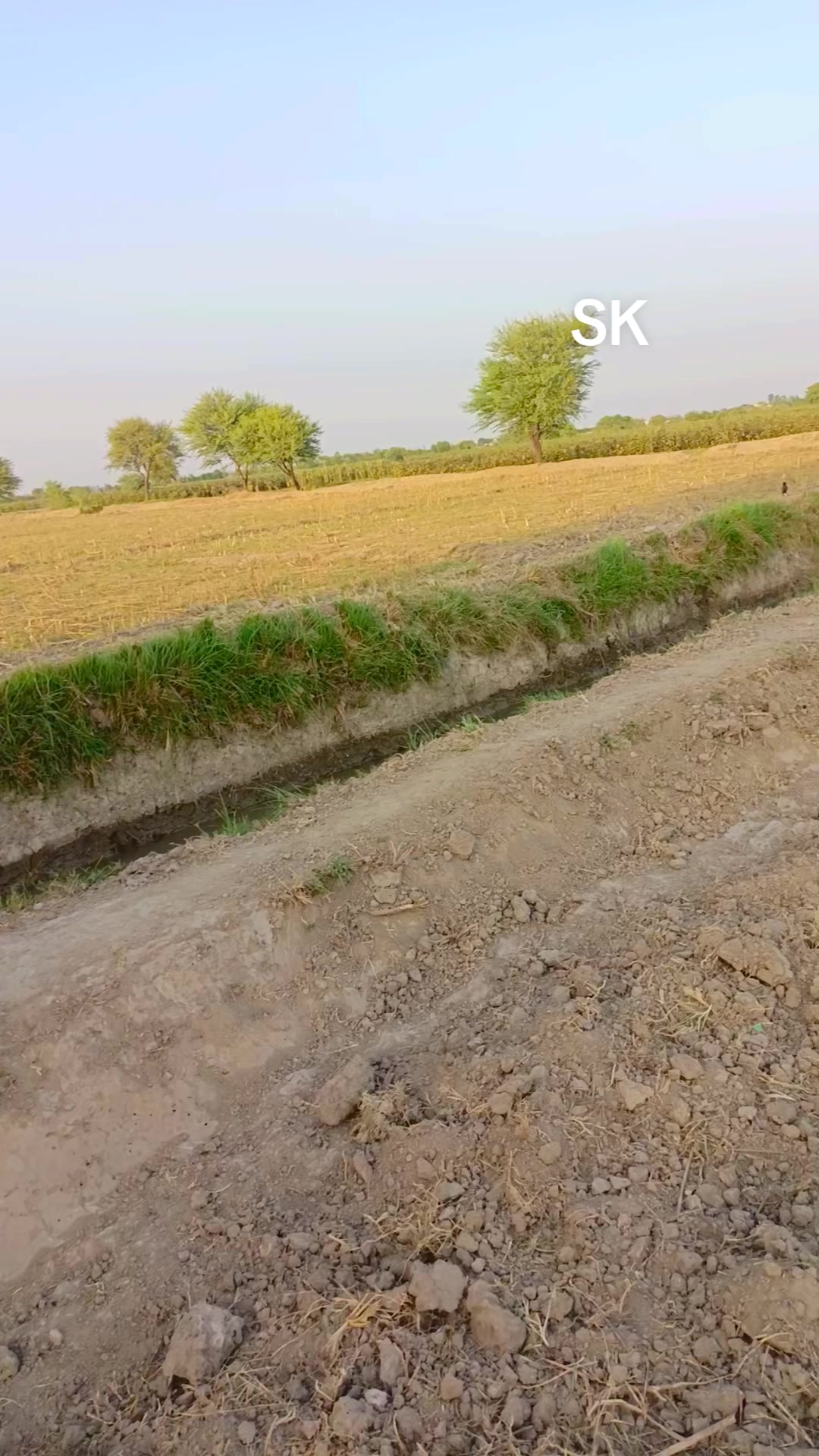 @Muhammad Siddique Khaskheli