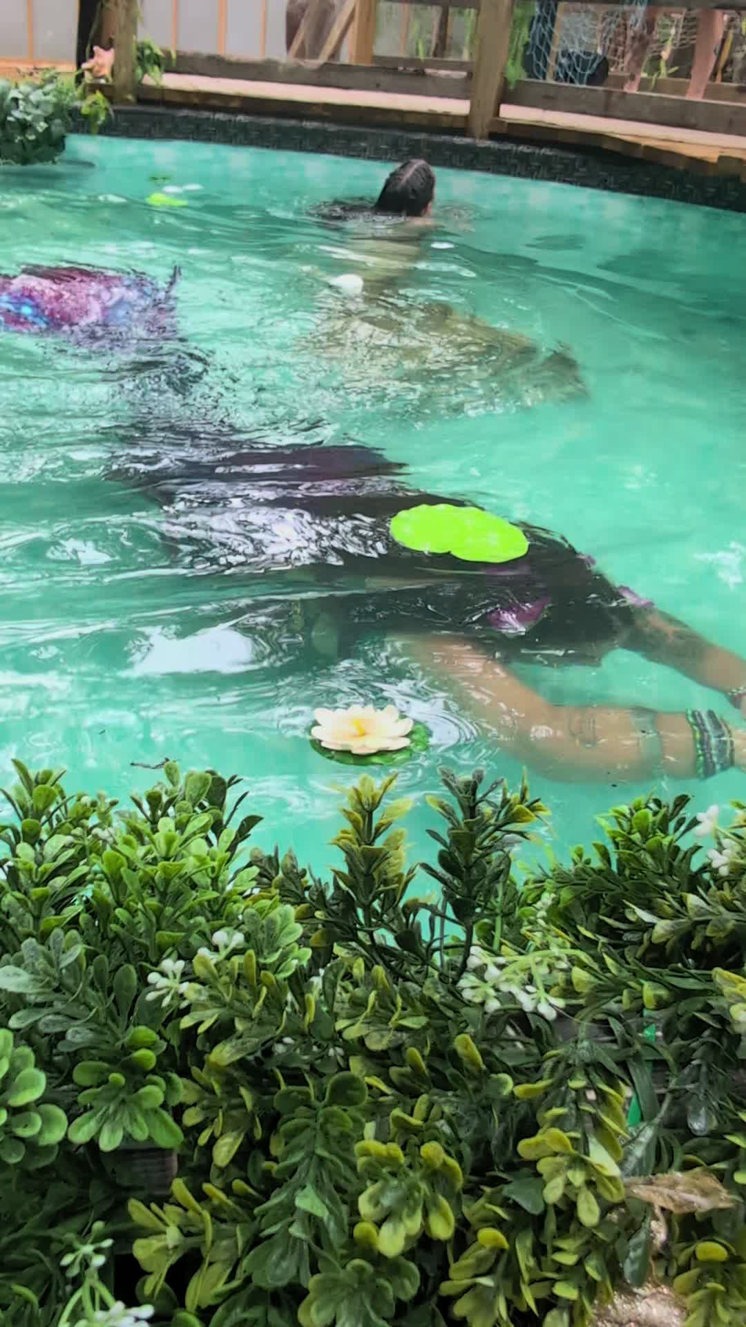 @Mermaid Jupiter