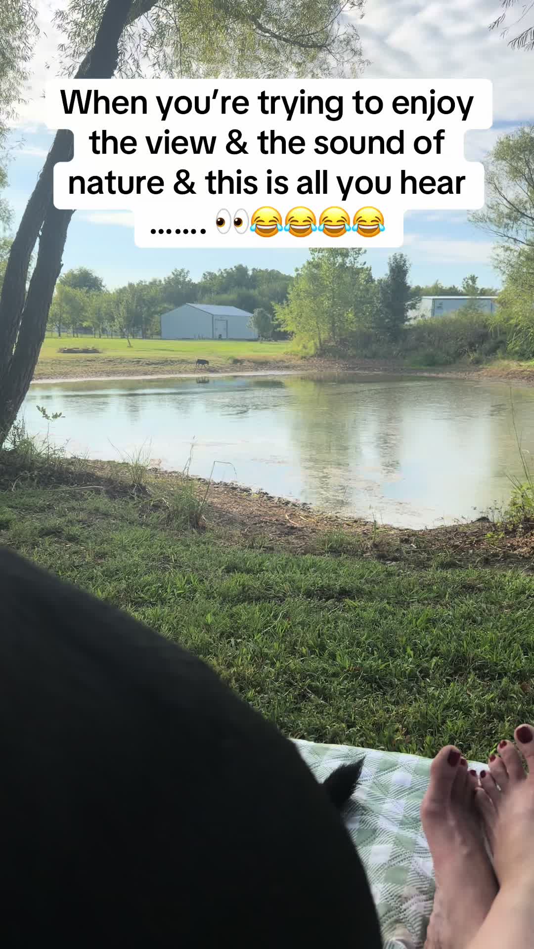 @NonniesFunnyFarm