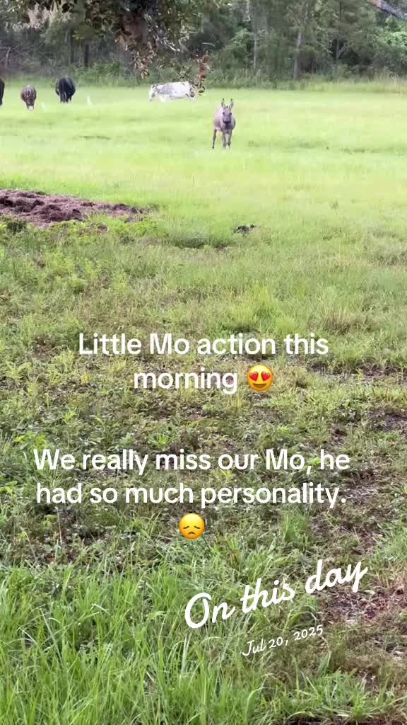 @Kelley Farms