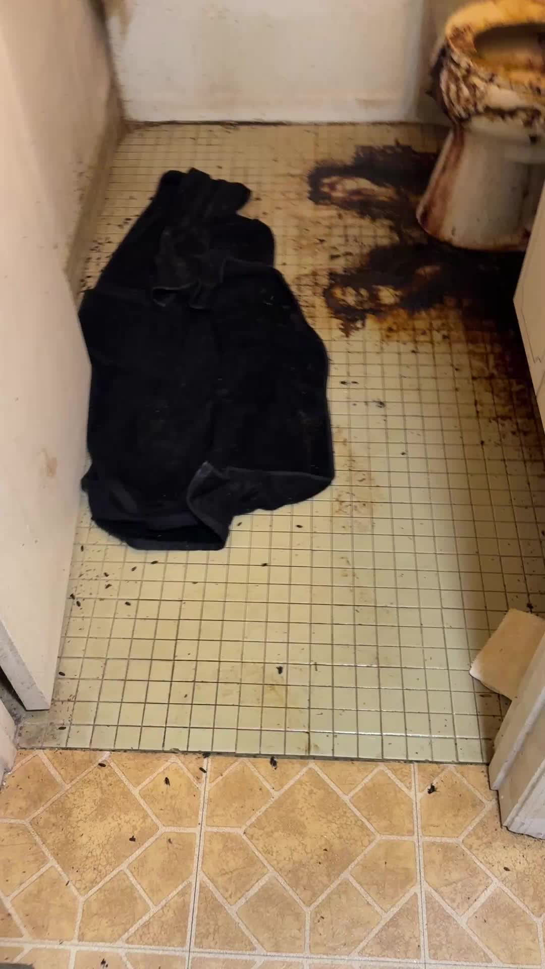 @Crime Scene Cleaning