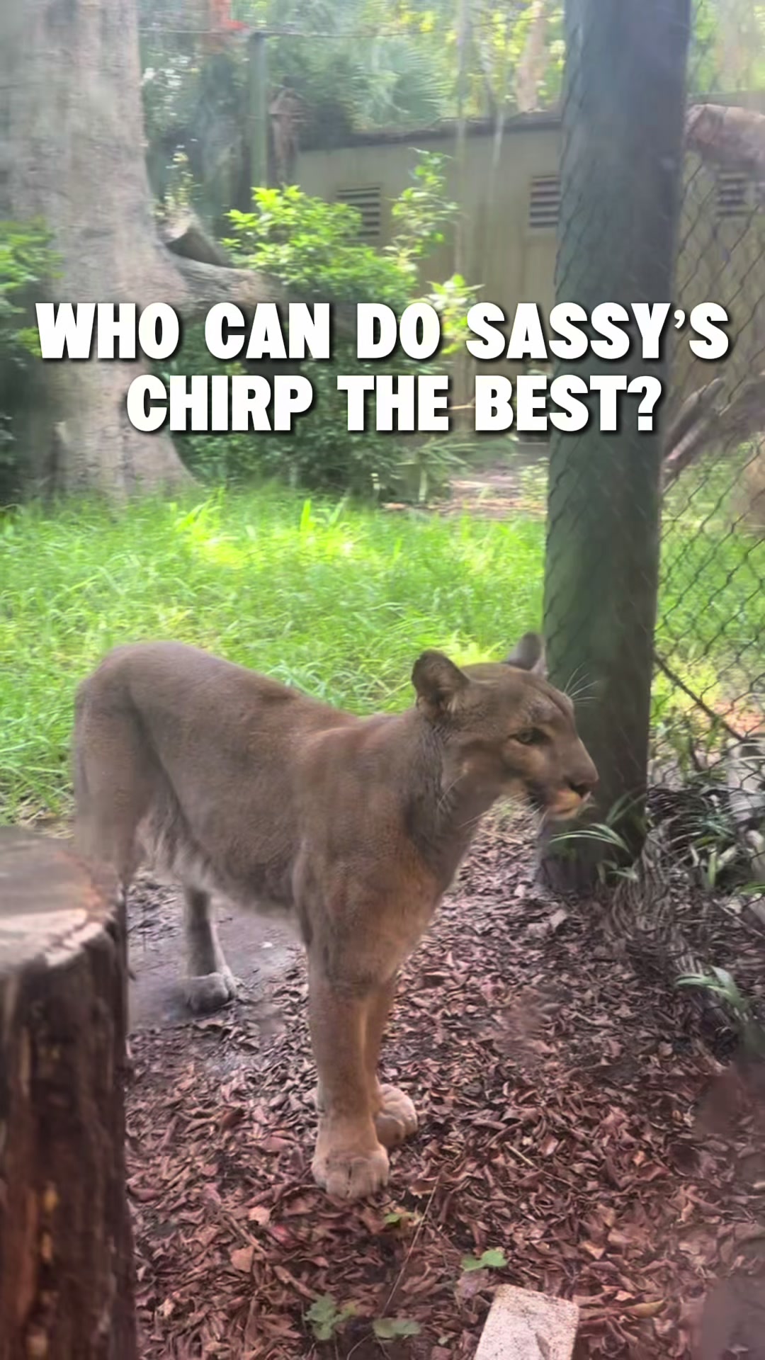 @Palm Beach Zoo