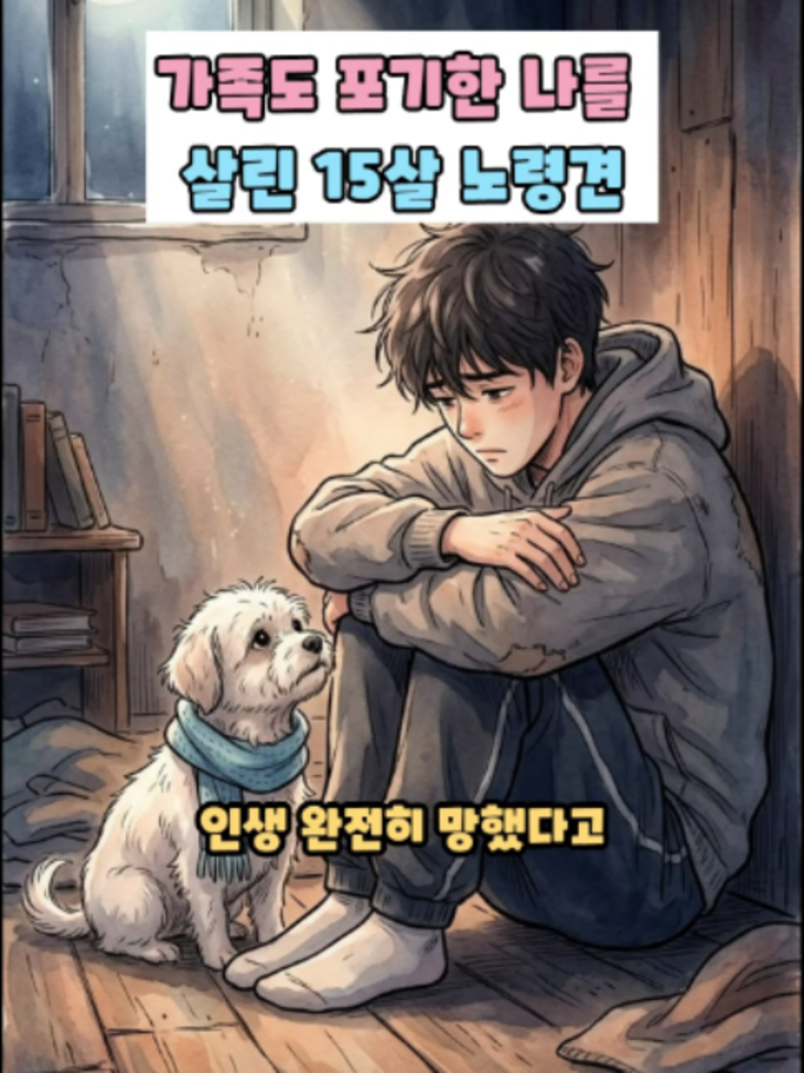 @반려동물힐링세상
