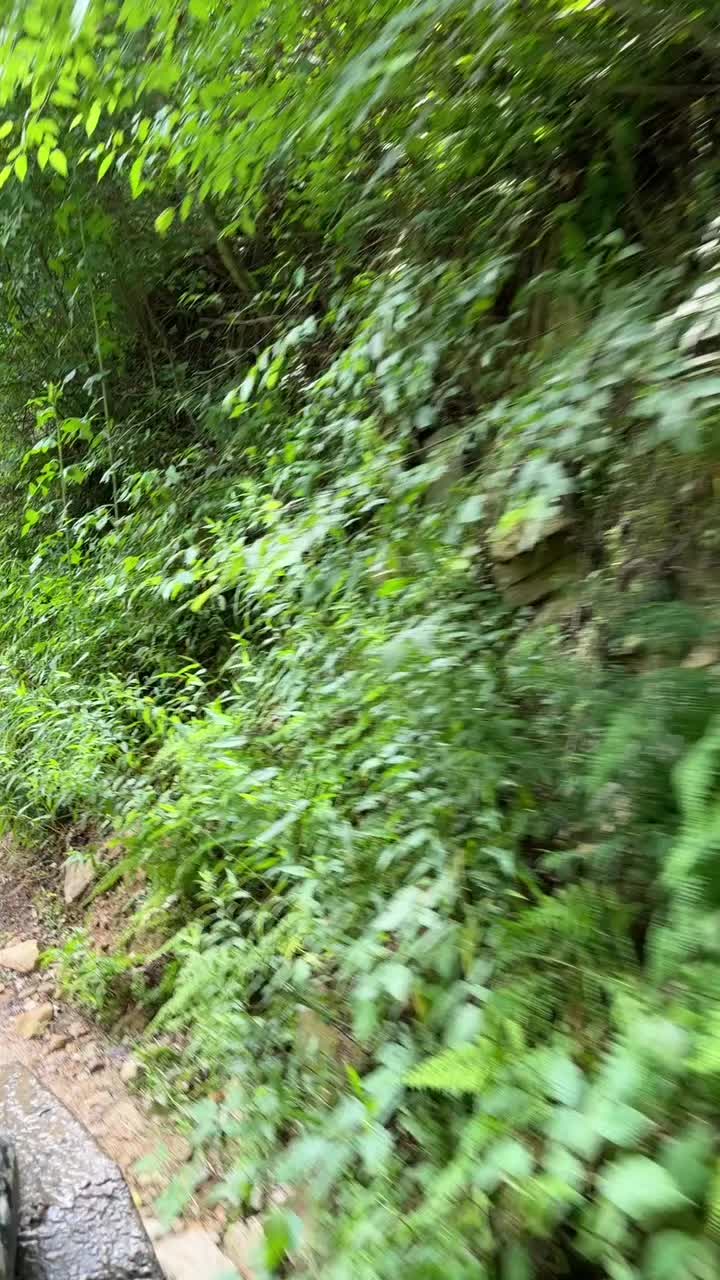 @Offroad Squatch