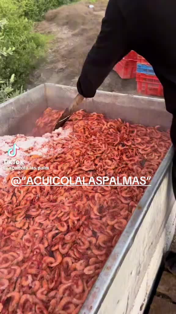 @Citlaly pardo@