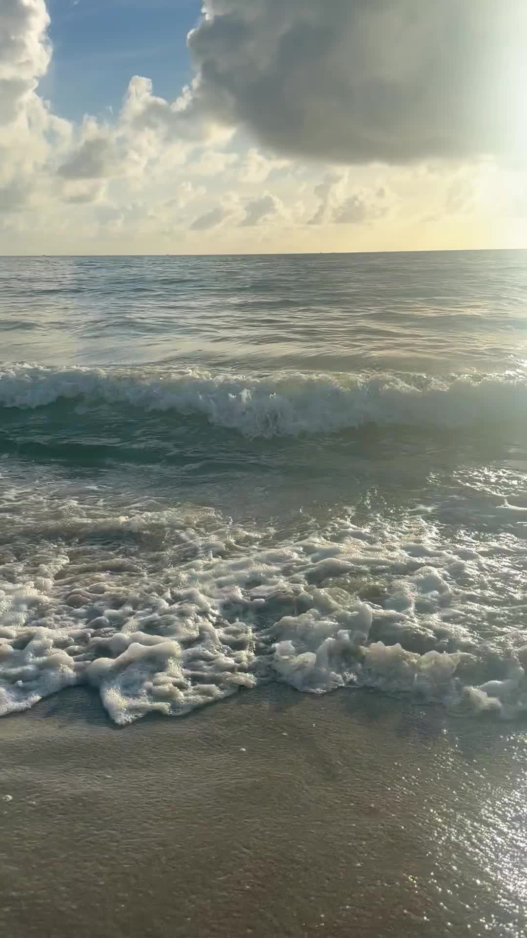 @SEA ME🪼🎶🌸