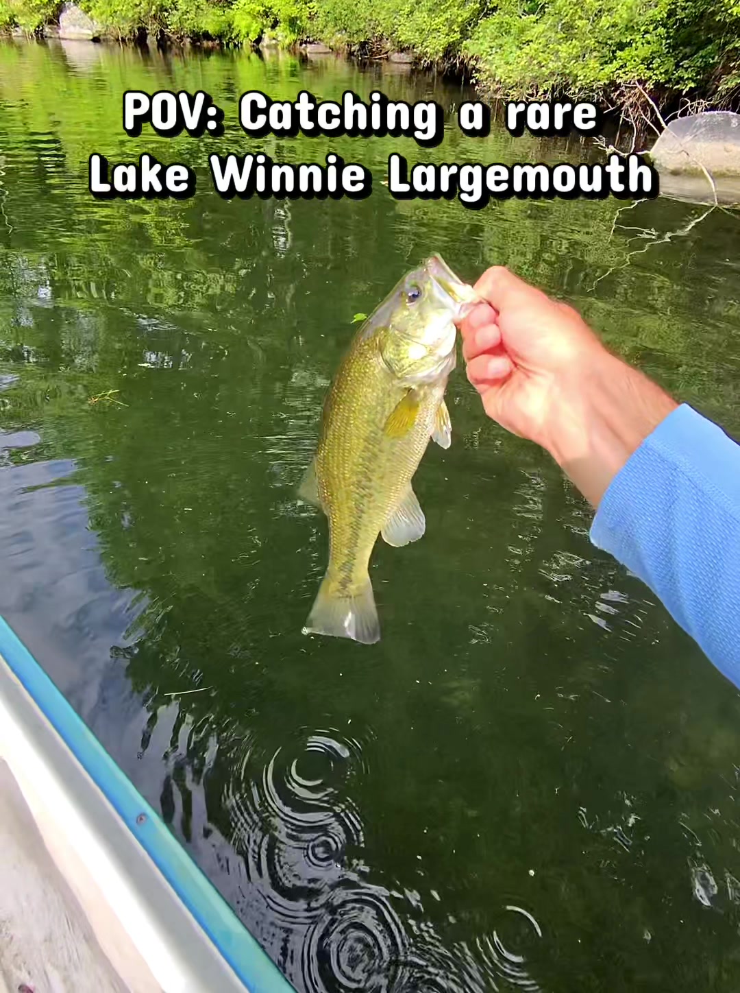@B. A. Fishing