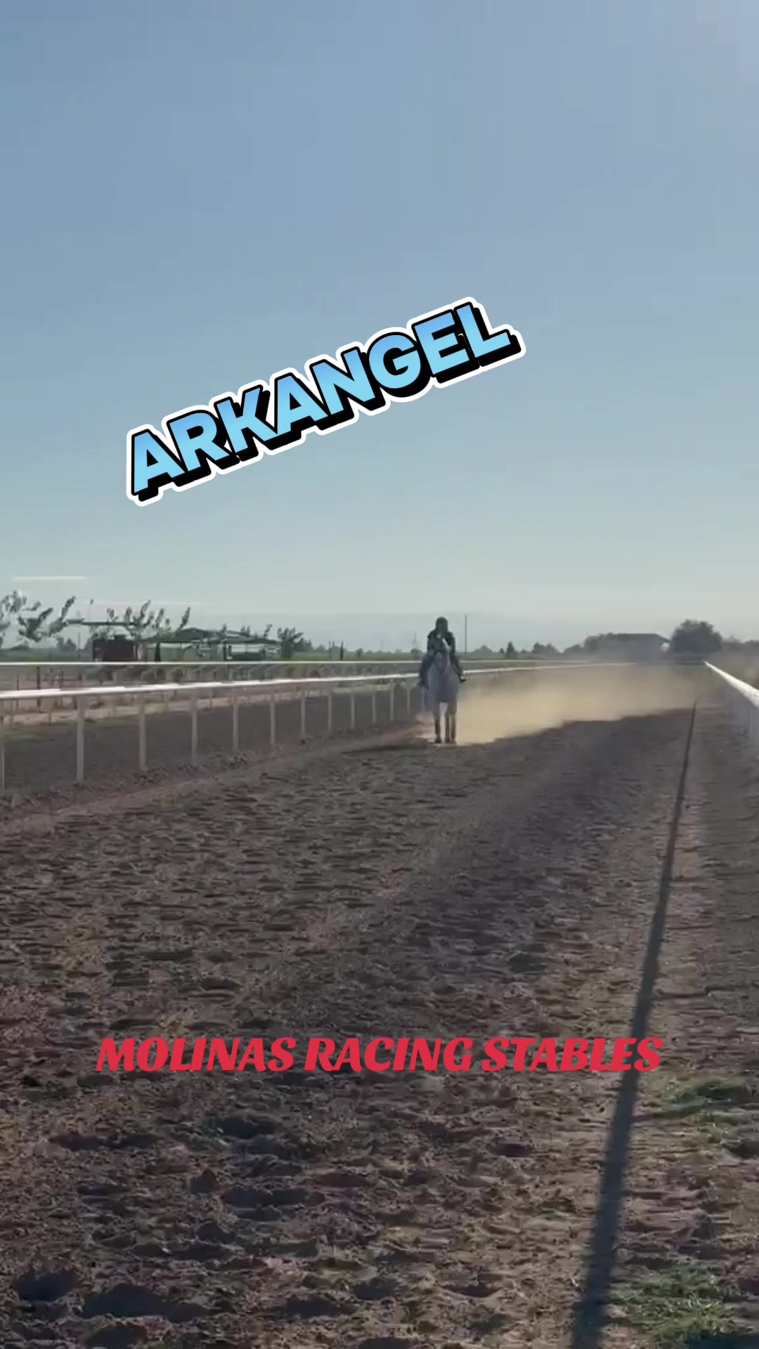 @Tavo Molina