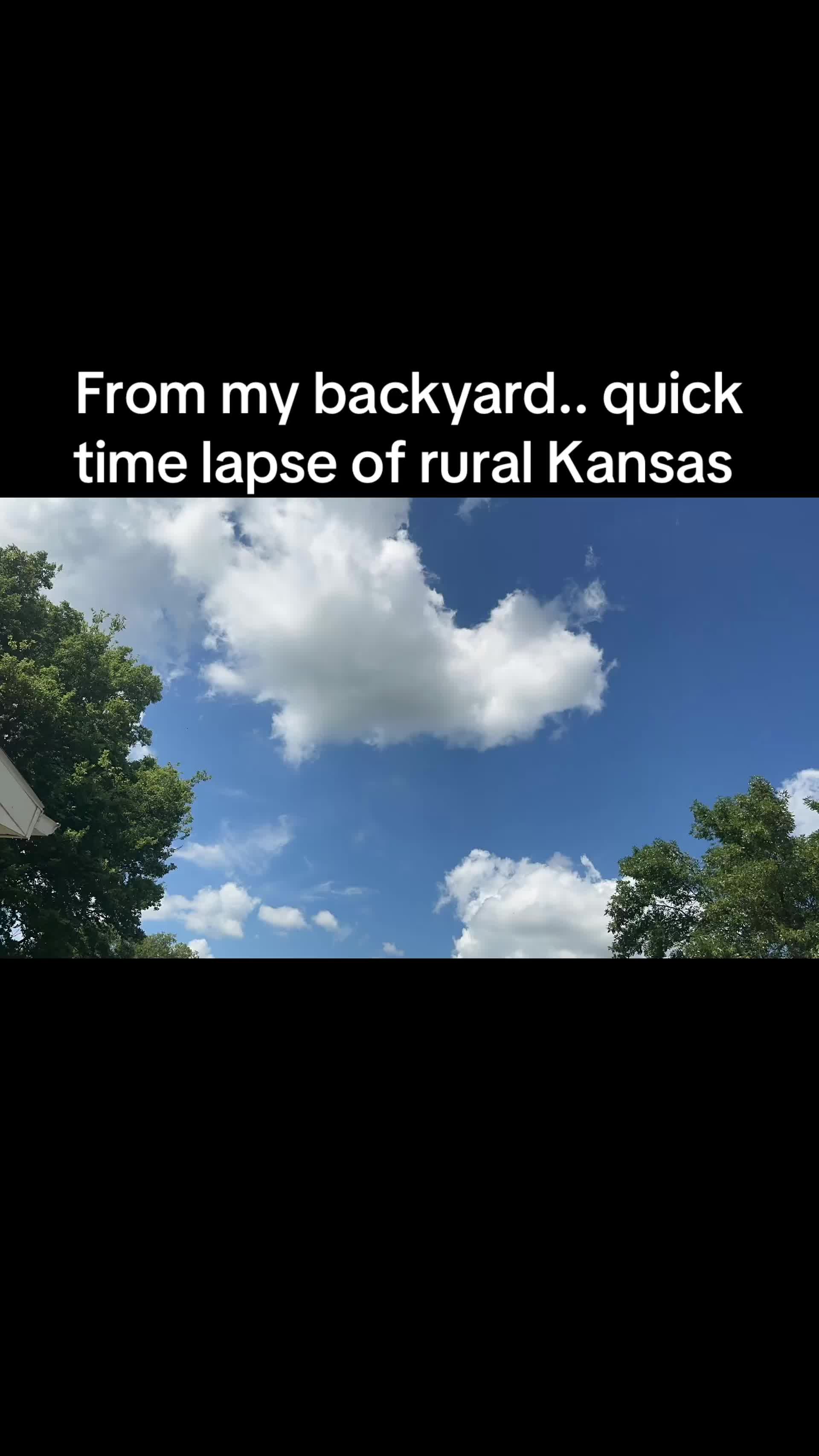 @jasmitwildcat