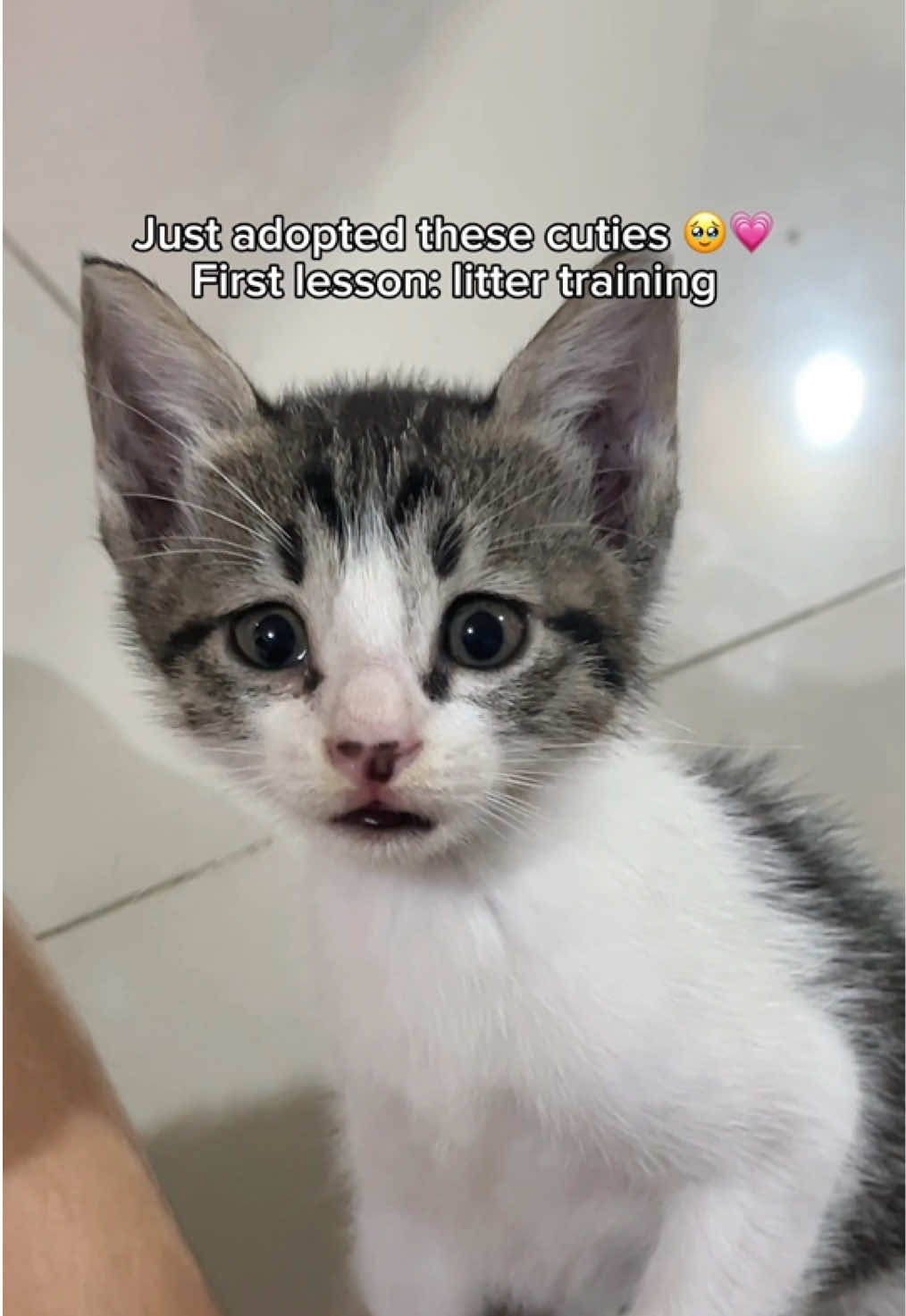 @rixha🐈💋