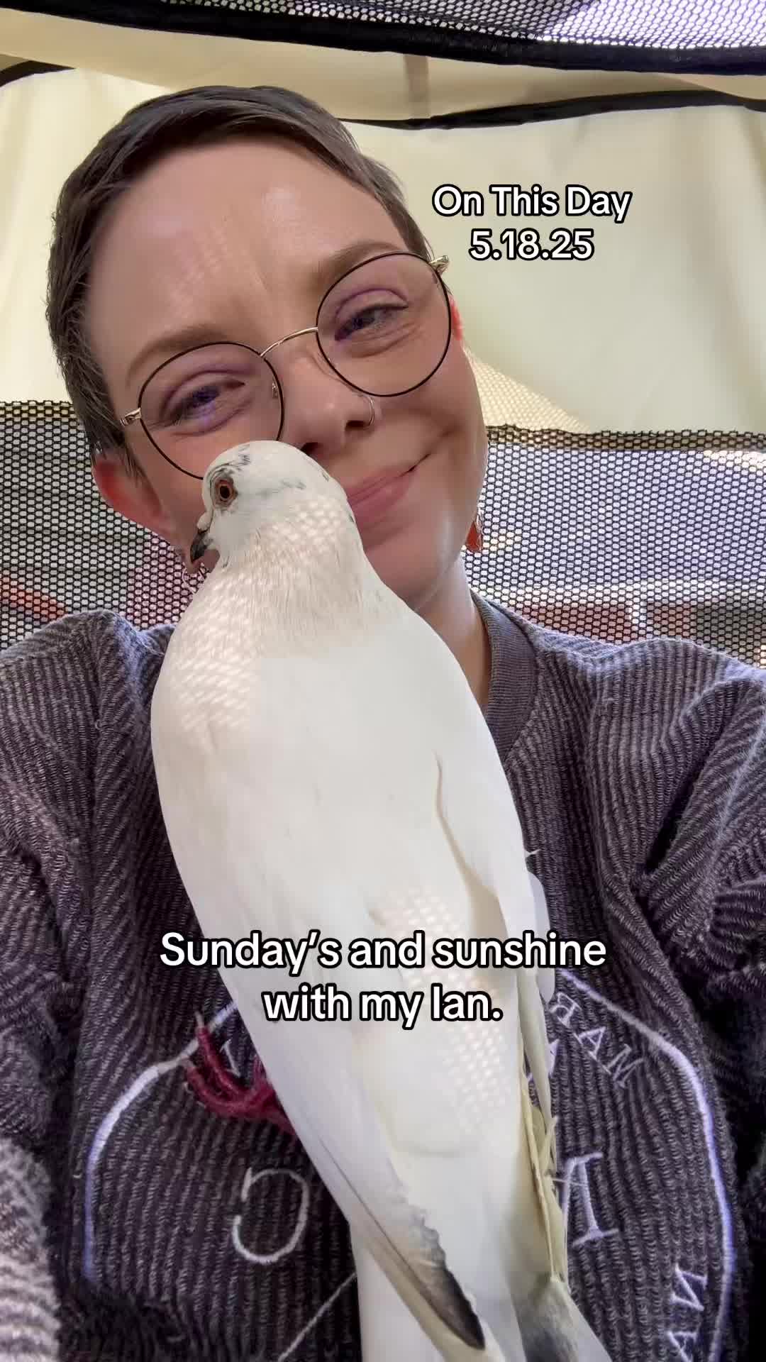 @Lindsay ⬅️ MO Pigeon Mama 🐦🔵