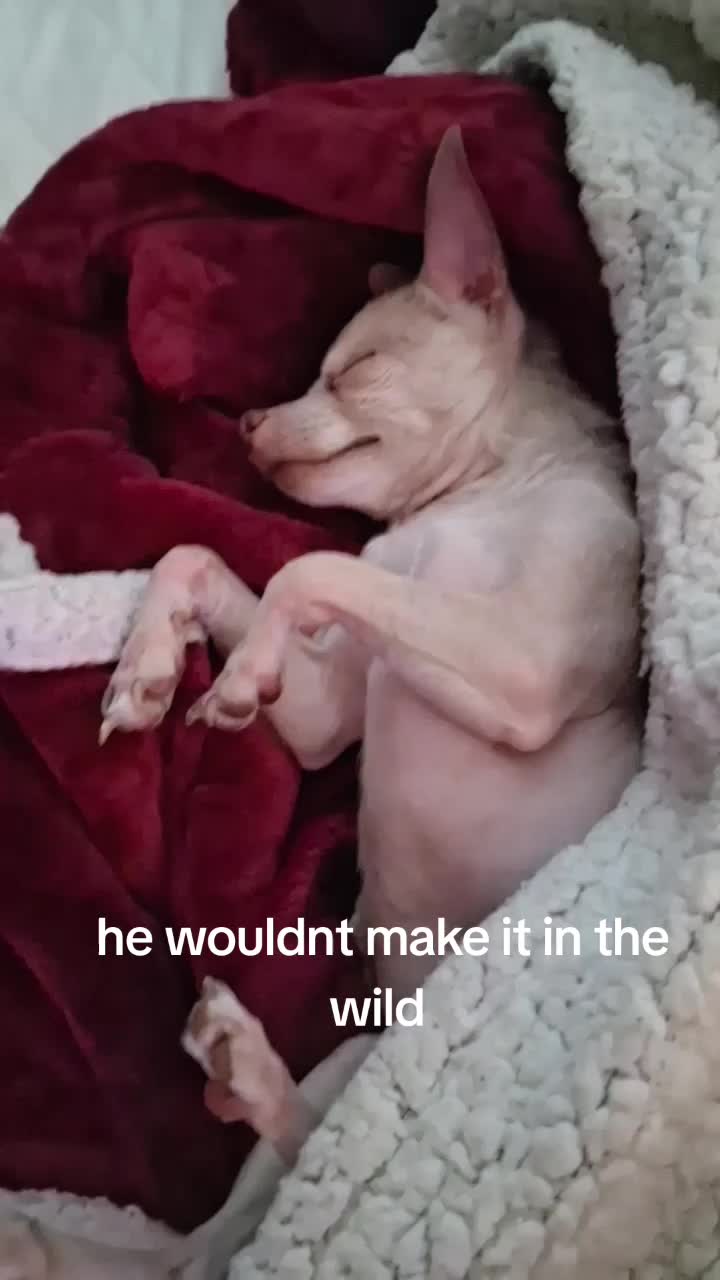 @jamie