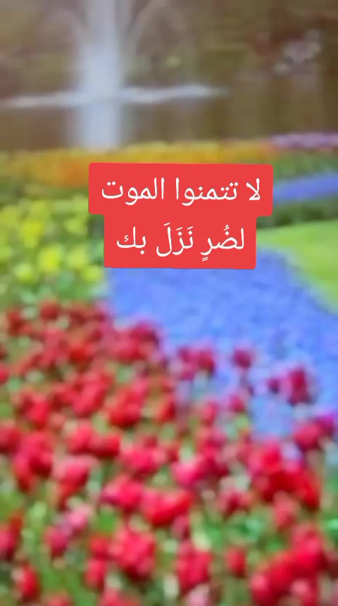 @Fadwa wawi