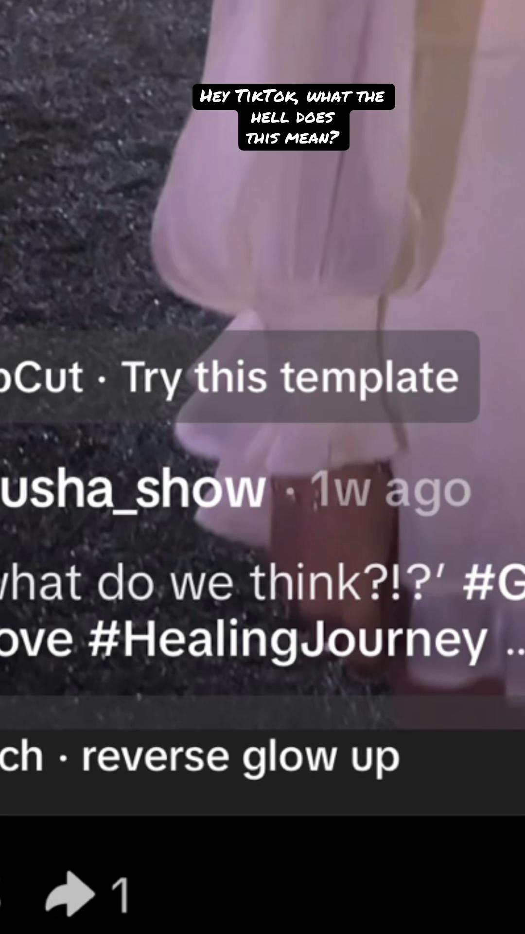 @the_anusha_show