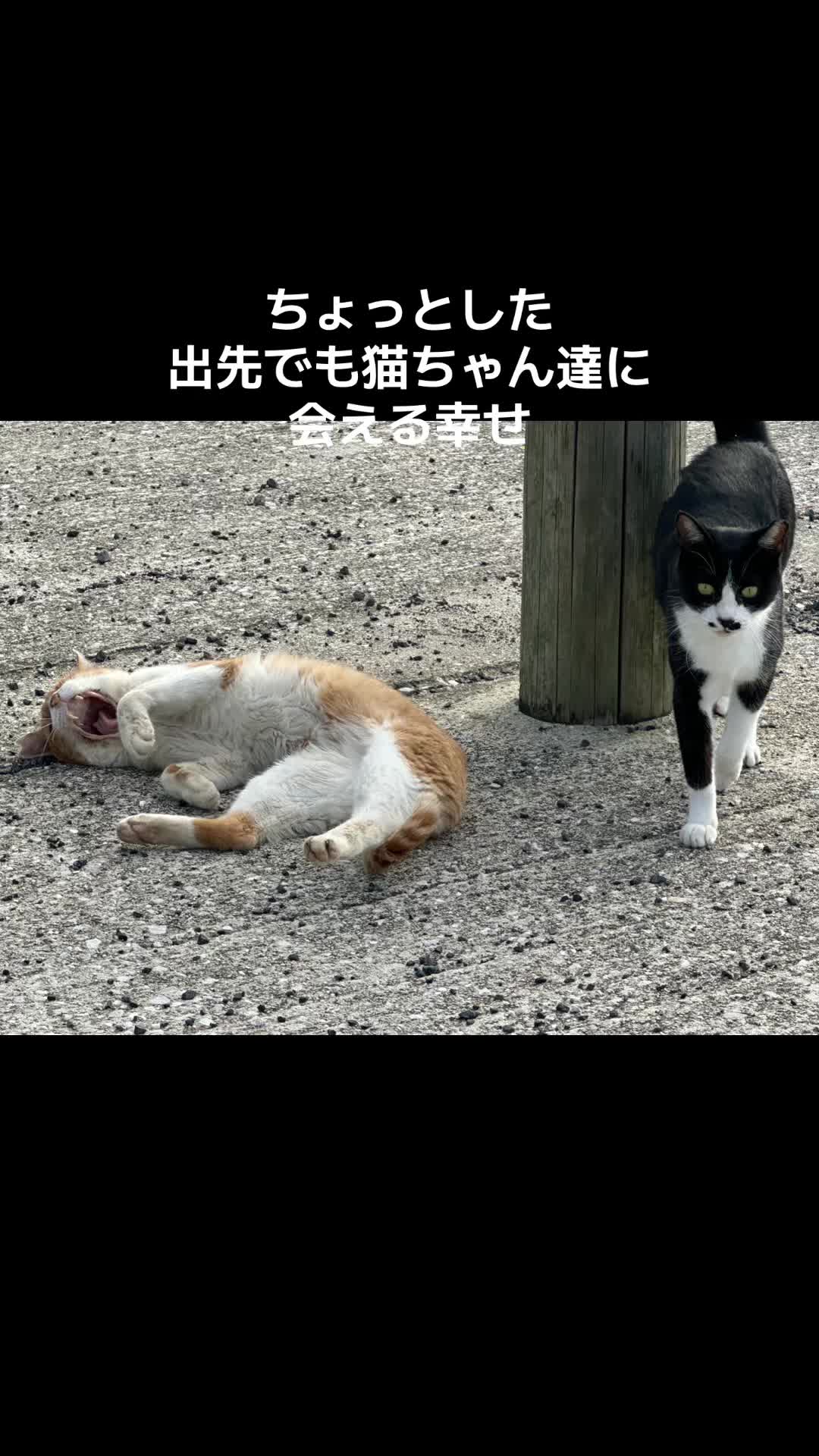 @ããããð€ð