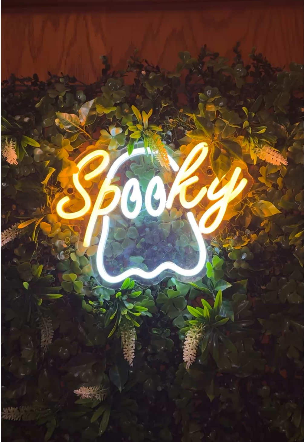 @SpookyBabe 🎃🦇🕸️